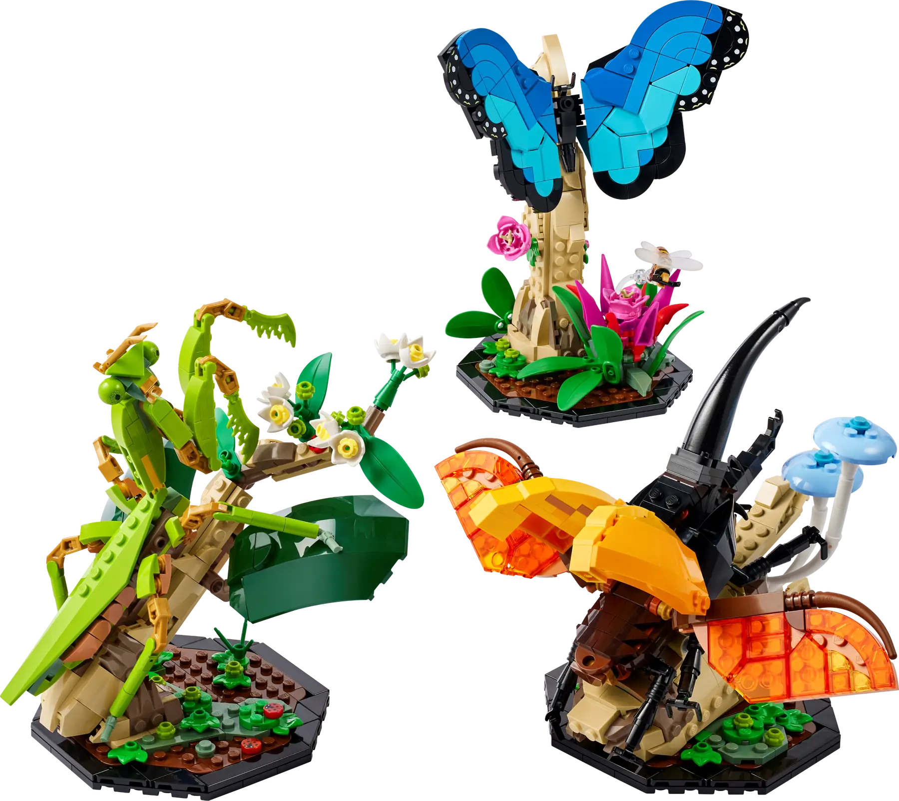 LEGO Ideas The Insect Collection #21342