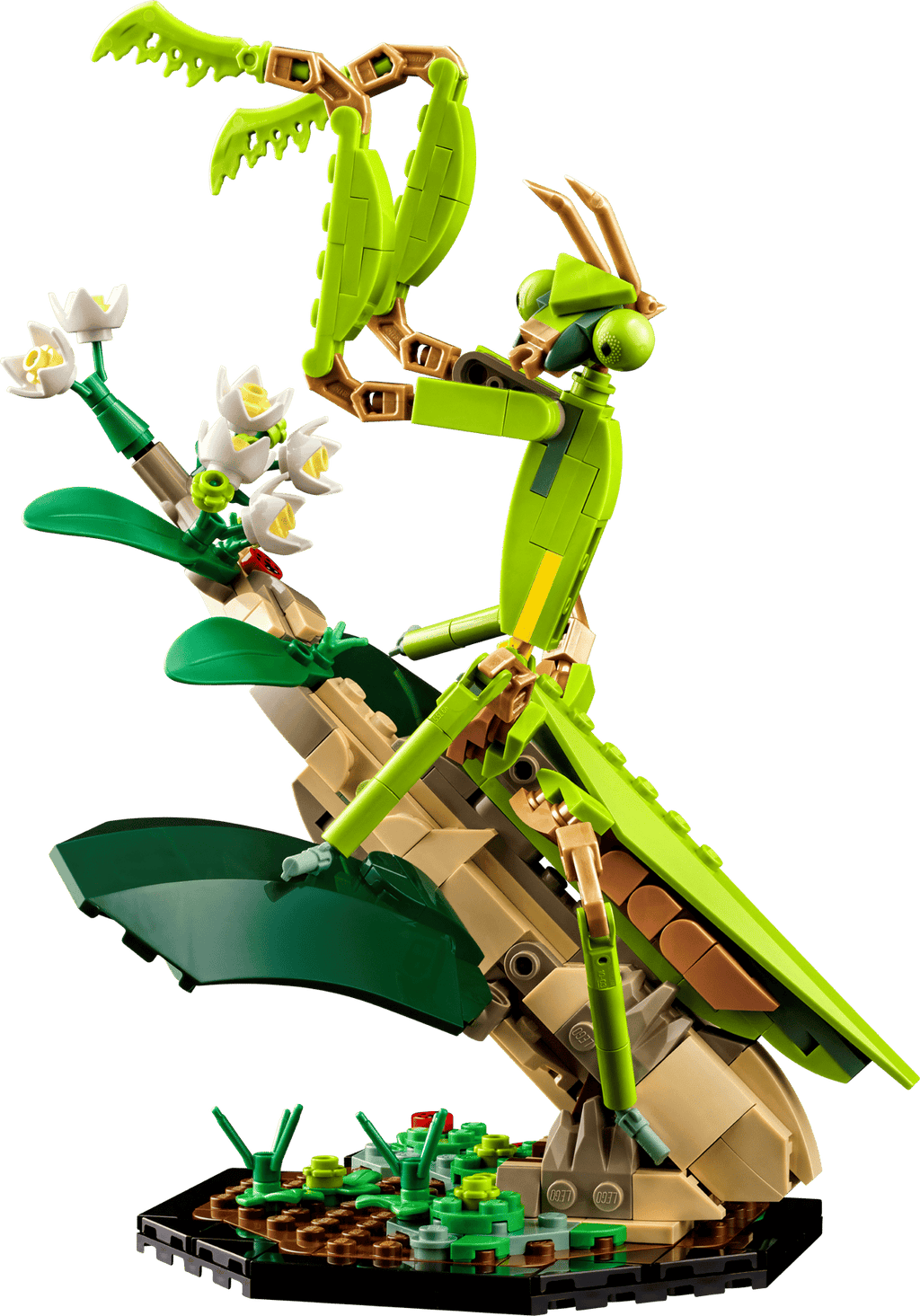 LEGO Ideas The Insect Collection #21342