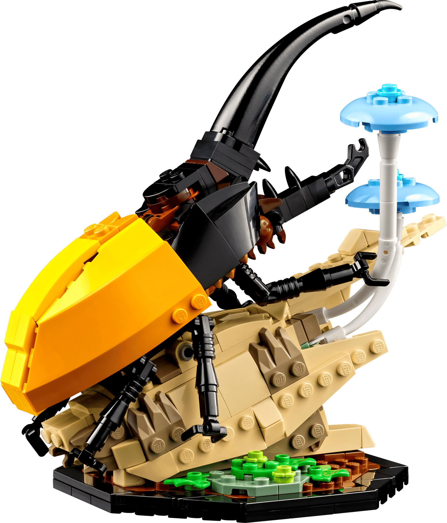 LEGO Ideas The Insect Collection #21342