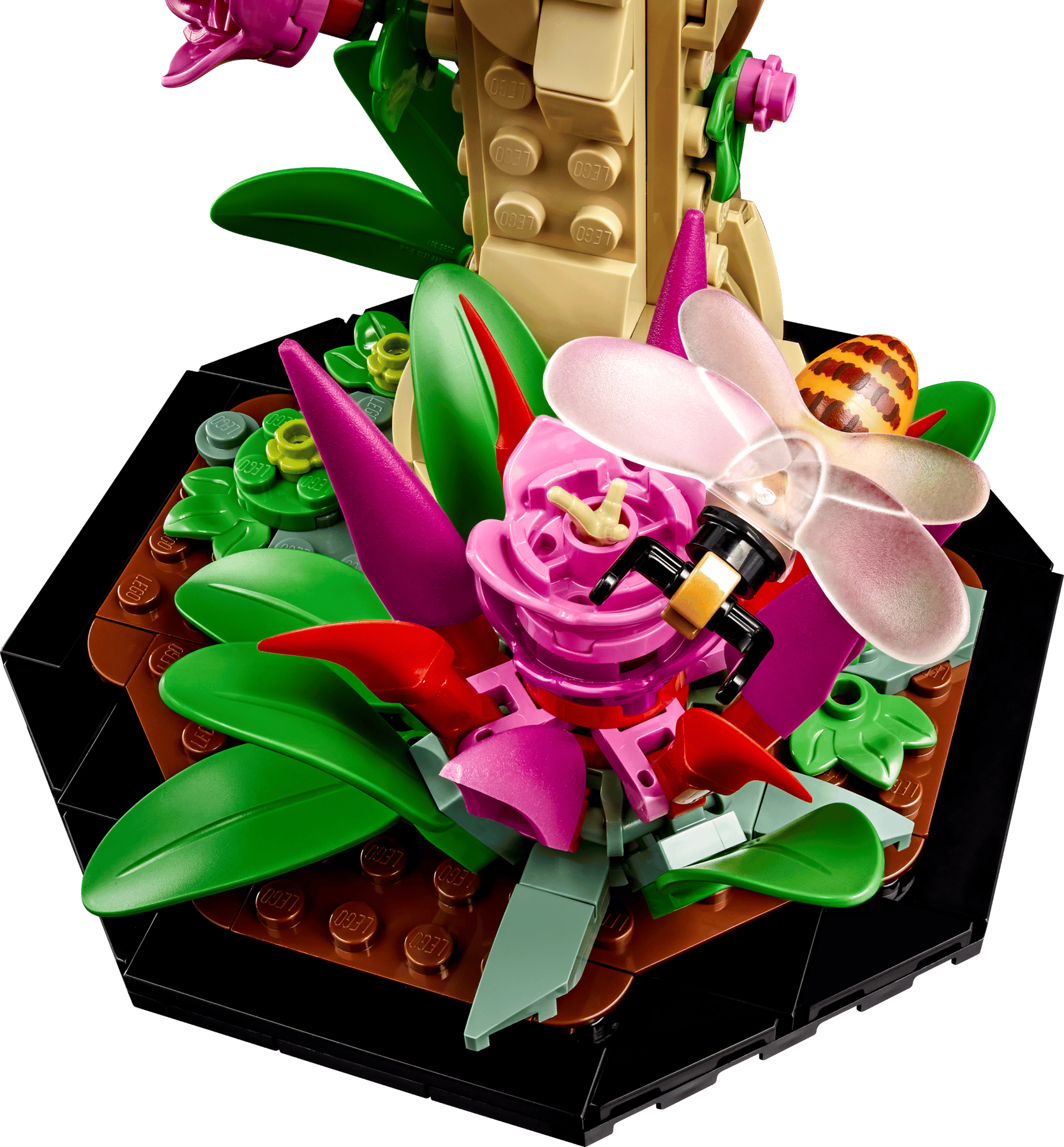 LEGO Ideas The Insect Collection #21342